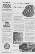 Better Homes & Gardens May 1938 Magazine Article: TELLING FACTS ABOUT Termites