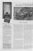 Better Homes & Gardens May 1938 Magazine Article: WHY NOT Orchids?