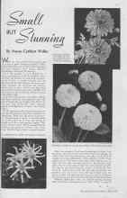 Better Homes & Gardens May 1938 Magazine Article: Small BUT Stunning