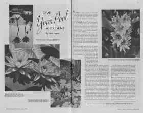 Better Homes & Gardens May 1938 Magazine Article: GIVE Your Pool A PRESENT