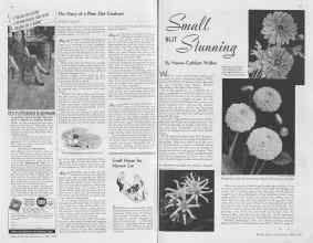 Better Homes & Gardens May 1938 Magazine Article: Page 64