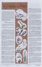 Better Homes & Gardens June 1938 Magazine Article: It's News to Me!