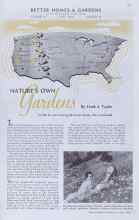 Better Homes & Gardens June 1938 Magazine Article: NATURE'S OWN Gardens