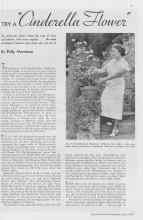 Better Homes & Gardens June 1938 Magazine Article: TRY A 