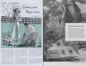 Better Homes & Gardens June 1938 Magazine Article: Page 6