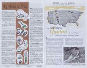 Better Homes & Gardens June 1938 Magazine Article: Page 10