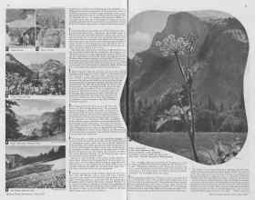 Better Homes & Gardens June 1938 Magazine Article: Page 14