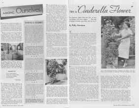 Better Homes & Gardens June 1938 Magazine Article: Page 18