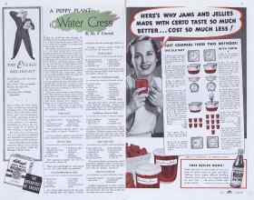 Better Homes & Gardens June 1938 Magazine Article: Page 40