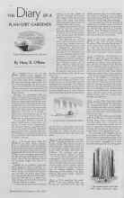 Better Homes & Gardens July 1938 Magazine Article: THE Diary OF A PLAIN DIRT GARDENER