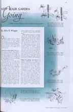 Better Homes & Gardens July 1938 Magazine Article: KEEP YOUR GARDEN Going