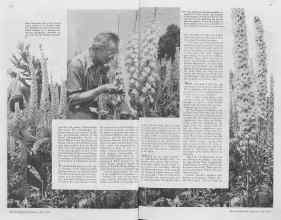 Better Homes & Gardens July 1938 Magazine Article: Page 14