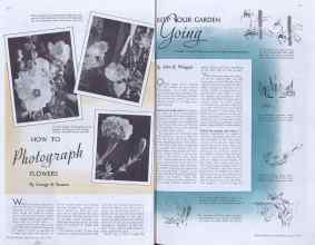 Better Homes & Gardens July 1938 Magazine Article: Page 16