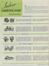 Better Homes & Gardens September 1938 Magazine Article: Indoor GARDENING GUIDE