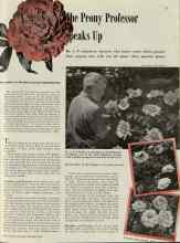 Better Homes & Gardens September 1938 Magazine Article: The Peony Professor Speaks Up
