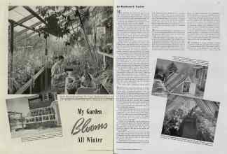 Better Homes & Gardens September 1938 Magazine Article: My Garden Blooms All Winter