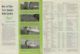 Better Homes & Gardens September 1938 Magazine Article: How to Plan Next Spring's Bulb Garden Now!