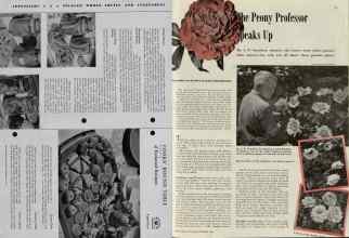 Better Homes & Gardens September 1938 Magazine Article: Page 48