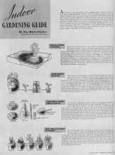 Better Homes & Gardens from 1938 | Indoor GARDENING GUIDE