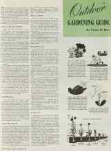 Better Homes & Gardens October 1938 Magazine Article: Outdoor GARDENING GUIDE