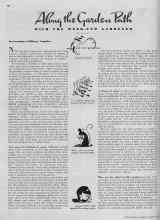 Better Homes & Gardens October 1938 Magazine Article: Along the Garden Path