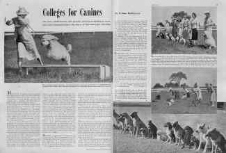 Better Homes & Gardens October 1938 Magazine Article: Colleges for Canines