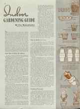 Better Homes & Gardens November 1938 Magazine Article: Indoor GARDENING GUIDE