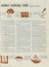 Better Homes & Gardens November 1938 Magazine Article: Outdoor Gardening Guide