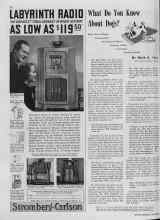 Better Homes & Gardens November 1938 Magazine Article: What Do You Know About Dogs?