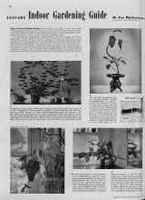 Better Homes & Gardens January 1939 Magazine Article: JANUARY Indoor Gardening Guide