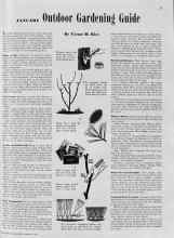 Better Homes & Gardens January 1939 Magazine Article: JANUARY Outdoor Gardening Guide