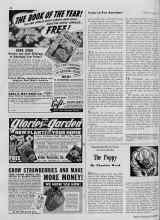 Better Homes & Gardens January 1939 Magazine Article: The Poppy