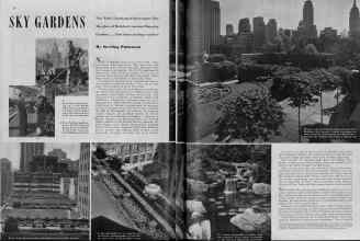 Better Homes & Gardens January 1939 Magazine Article: SKY GARDENS