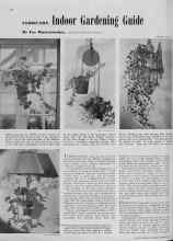 Better Homes & Gardens February 1939 Magazine Article: FEBRUARY Indoor Gardening Guide