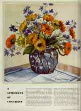 Better Homes & Gardens February 1939 Magazine Article: A SYMPHONY OF CONTRAST