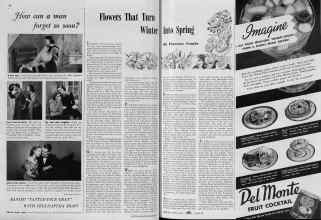 Better Homes & Gardens February 1939 Magazine Article: Flowers That Turn Winter Into Spring