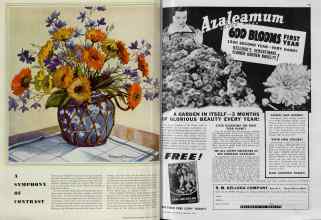 Better Homes & Gardens February 1939 Magazine Article: Page 74