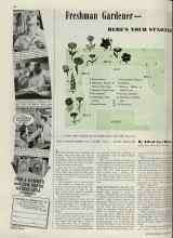 Better Homes & Gardens March 1939 Magazine Article: Freshman Gardener