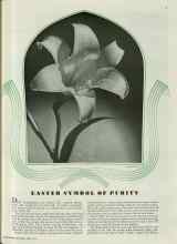 Better Homes & Gardens April 1939 Magazine Article: EASTER SYMBOL OF PURITY