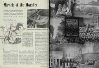 Better Homes & Gardens April 1939 Magazine Article: Miracle of the Marshes