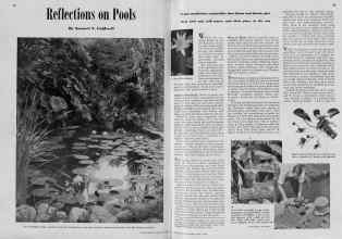 Better Homes & Gardens April 1939 Magazine Article: Reflections on Pools