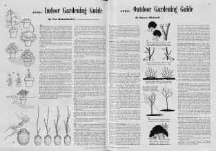 Better Homes & Gardens April 1939 Magazine Article: Page 30