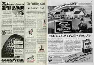 Better Homes & Gardens April 1939 Magazine Article: Page 66