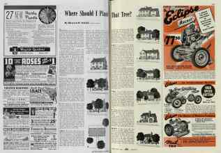 Better Homes & Gardens April 1939 Magazine Article: Where Should I Plant That Tree?