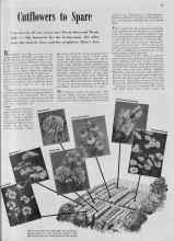 Better Homes & Gardens May 1939 Magazine Article: Cutflowers to Spare