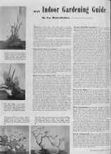 Better Homes & Gardens May 1939 Magazine Article: MAY Indoor Gardening Guide