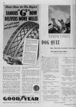 Better Homes & Gardens May 1939 Magazine Article: DOG QUIZ