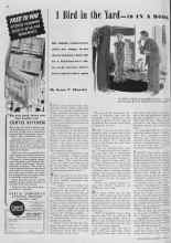 Better Homes & Gardens May 1939 Magazine Article: 1 Bird in the Yard--10 IN A BOOK