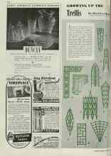 Better Homes & Gardens May 1939 Magazine Article: GROWING UP THE Trellis