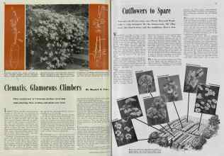 Better Homes & Gardens May 1939 Magazine Article: Page 20